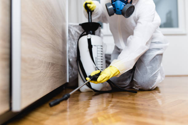 Best Emergency Pest Control  in Fruitvale, CO