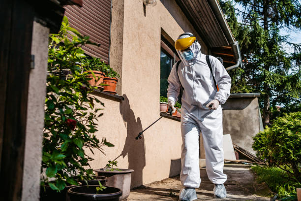 Best Termite Control Services  in Fruitvale, CO