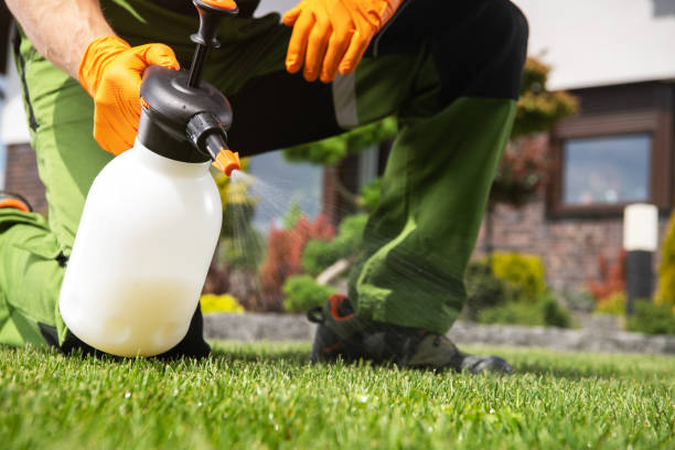 Best Affordable Pest Control Services  in Fruitvale, CO