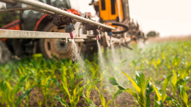 Professional Pest Control in Fruitvale, CO